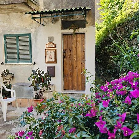 Appartamento Nel Borgo - Casa Del Pellegrino Sulla Via Francigena Aulla Zewnętrze zdjęcie